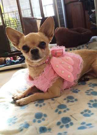 Giselle