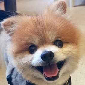 Chico