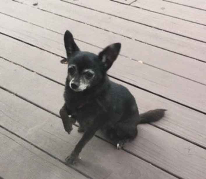 Chloe
