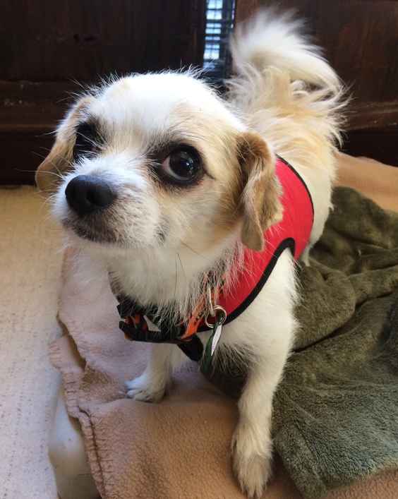 Theodore