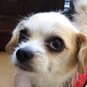 Theodore