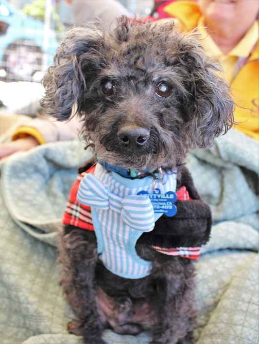 Kramer