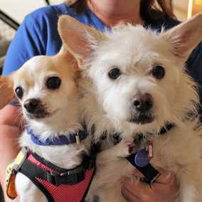 Pebbles and Bam Bam