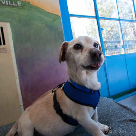 Roscoe