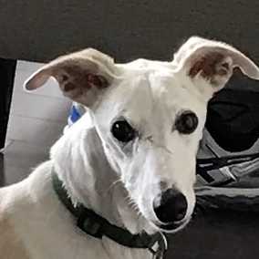 Jax