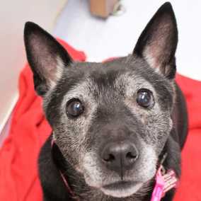 Kita