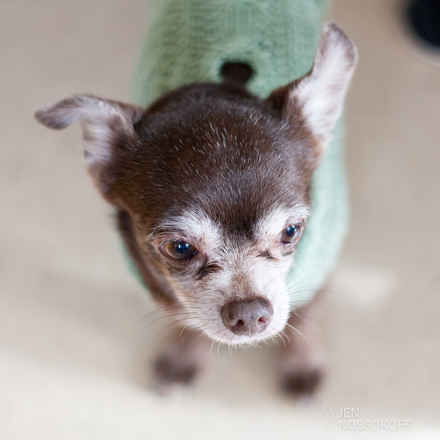 Cadbury #