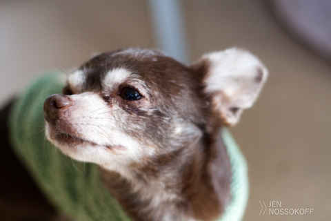 Cadbury #