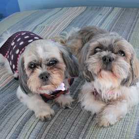 Penny and Queenie