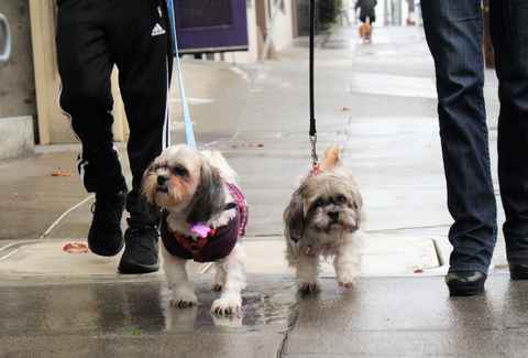 Penny and Queenie