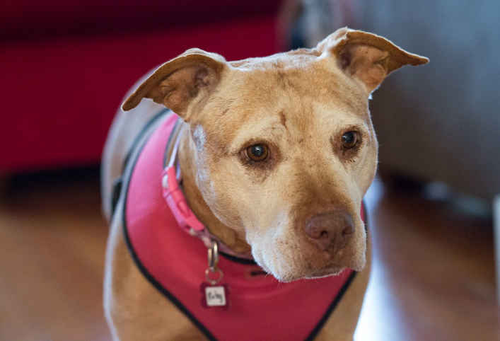 Ruby