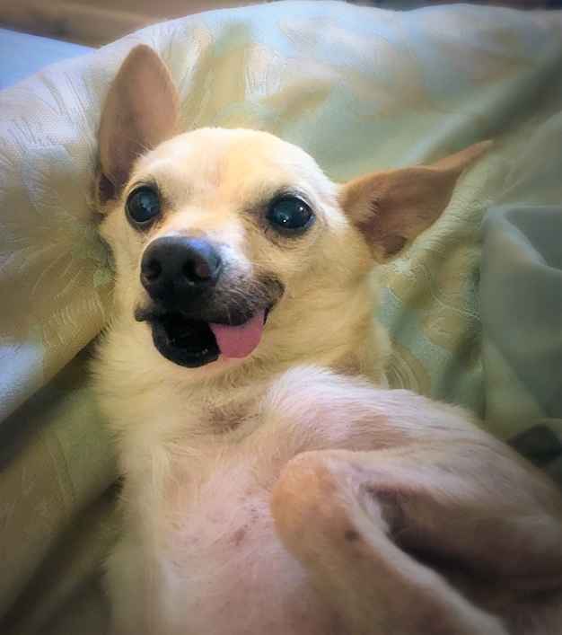 Ferris