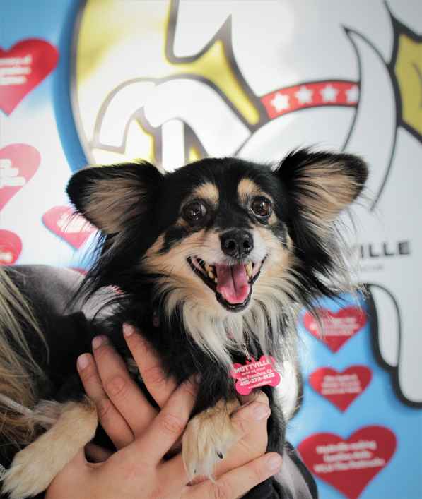Baxter