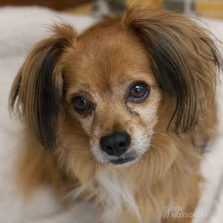Peanut