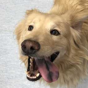 Milo