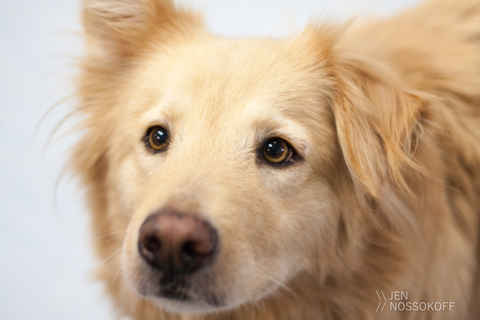 Milo