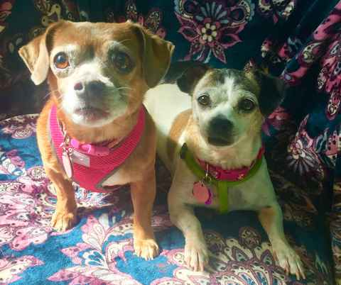 Polly Anne & Salina
