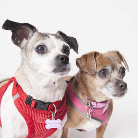 Polly Anne & Salina