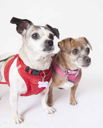 Polly Anne & Salina