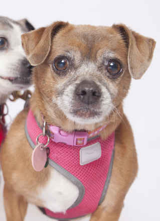 Polly Anne & Salina