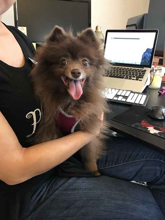 Kahlua