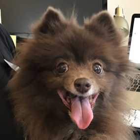 Kahlua