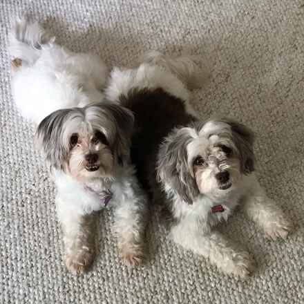 Samantha & Sabrina