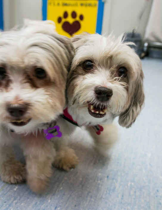Samantha & Sabrina