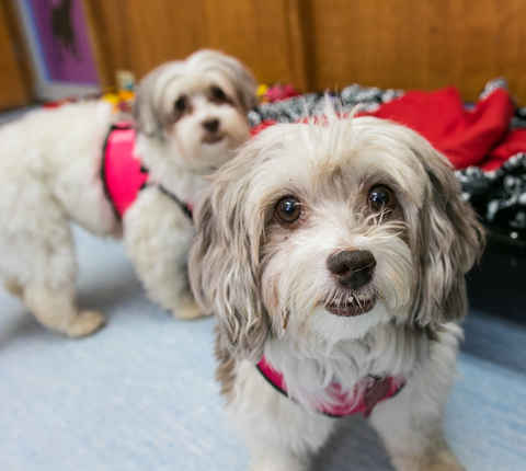Samantha & Sabrina
