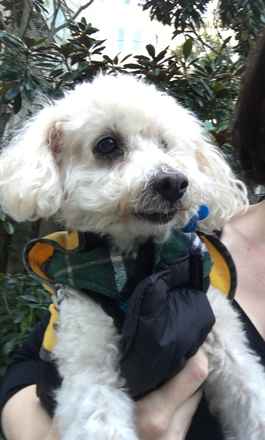 Oliver