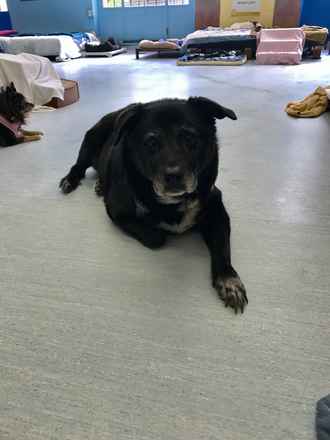 Maggie