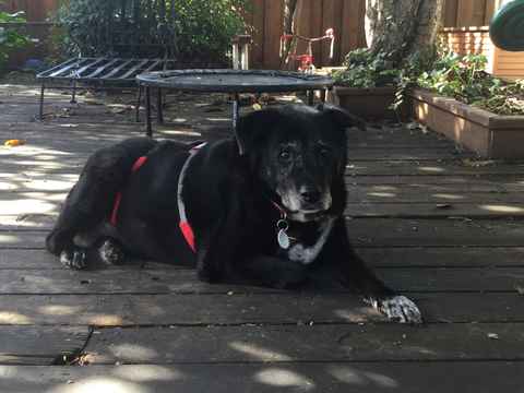 Maggie