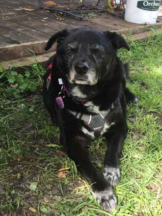 Maggie