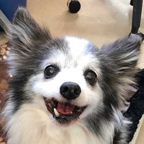 Theodore Fluff