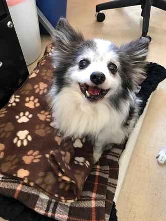 Theodore Fluff