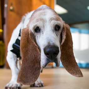 Walter