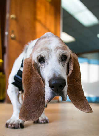 Walter