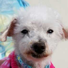 Esther