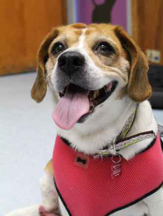 Lucy