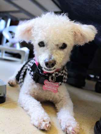 Delores