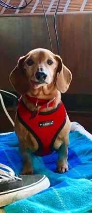Dudley