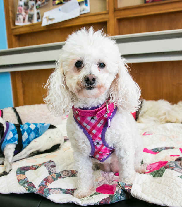 Abita