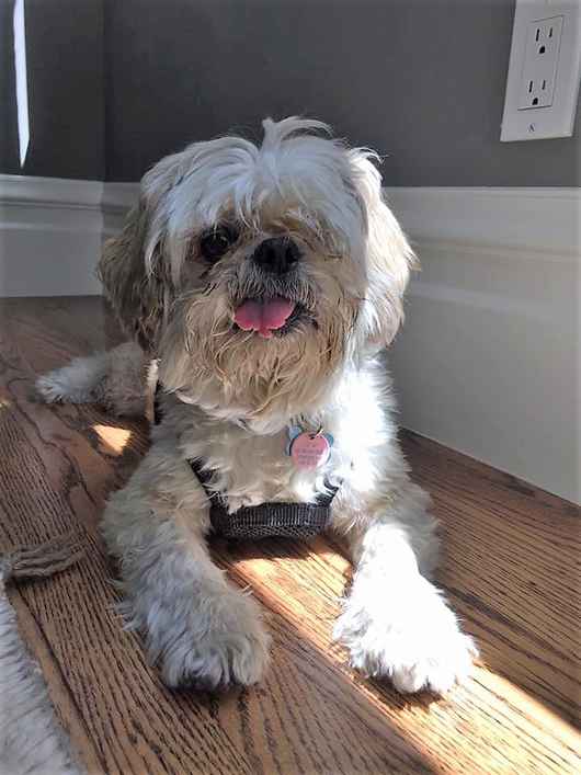 Darby