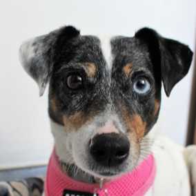 Ellie