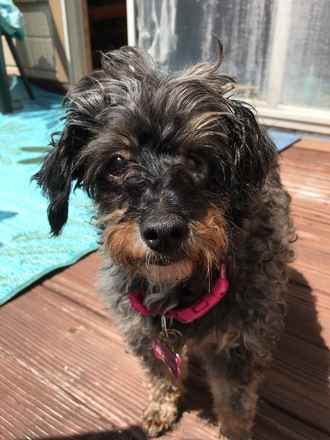 Tilly Mae