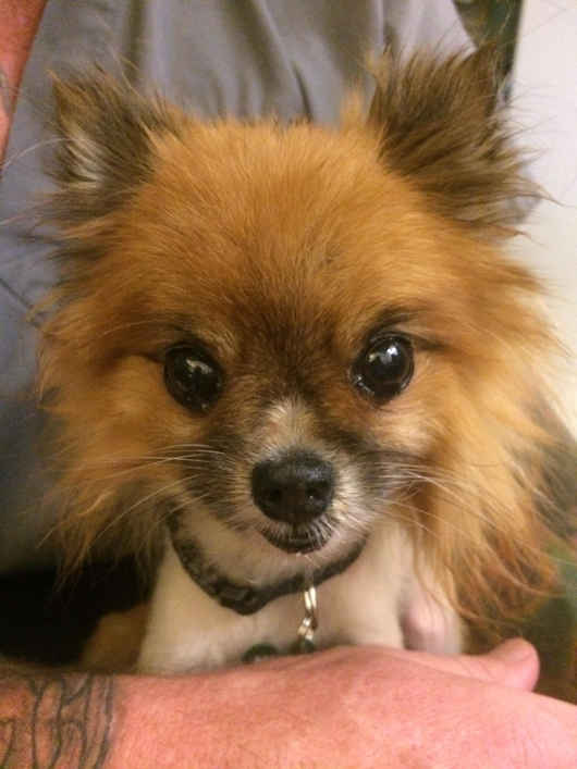 Elliot