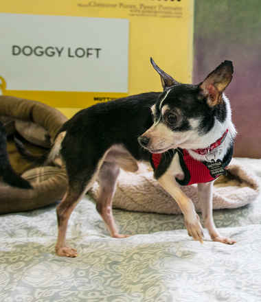 Tyson