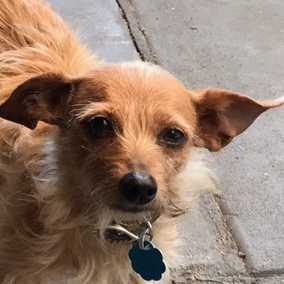 Peggy