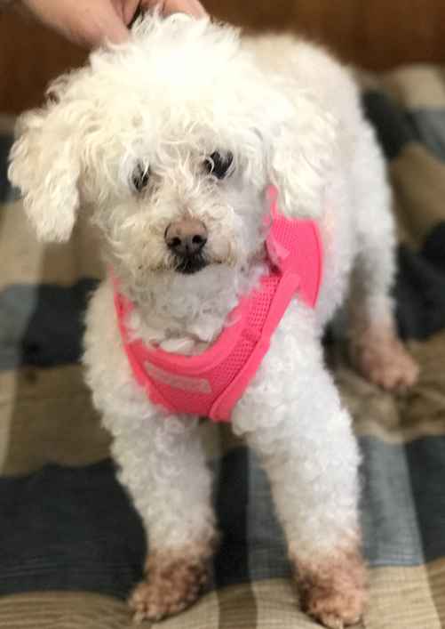 Chloe