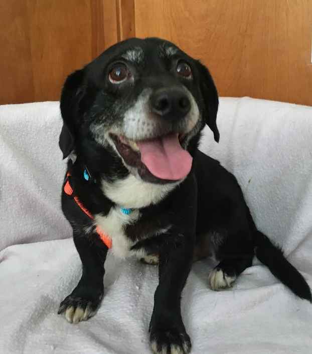 Milo